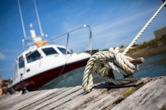 MARINA-LANDSCAPE-10